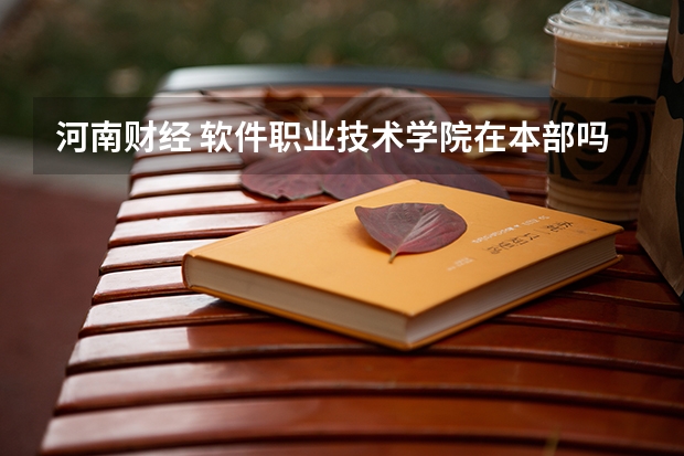 河南财经 软件职业技术学院在本部吗
