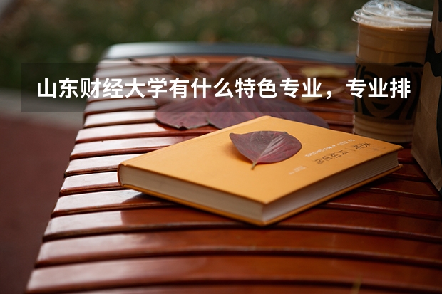 山东财经大学有什么特色专业，专业排名如何