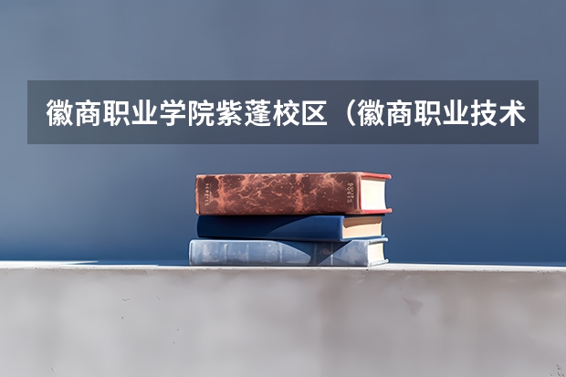 徽商职业学院紫蓬校区（徽商职业技术学院在安徽排名）