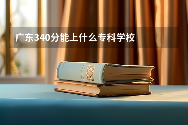 广东340分能上什么专科学校