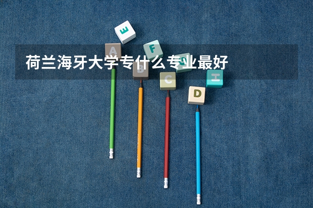荷兰海牙大学专什么专业最好