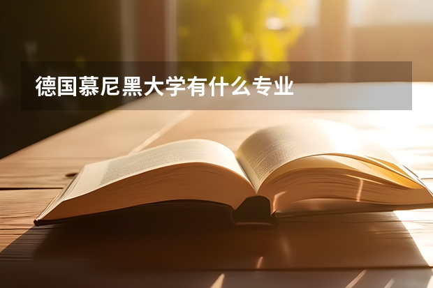 德国慕尼黑大学有什么专业