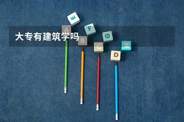 大专有建筑学吗