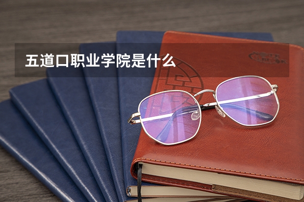 五道口职业学院是什么