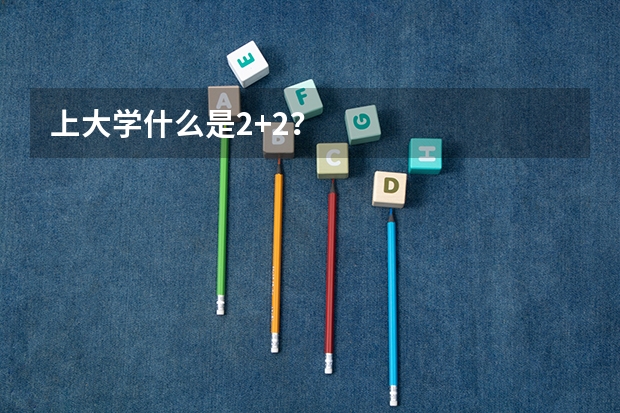 上大学什么是2+2?