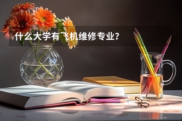 什么大学有飞机维修专业?
