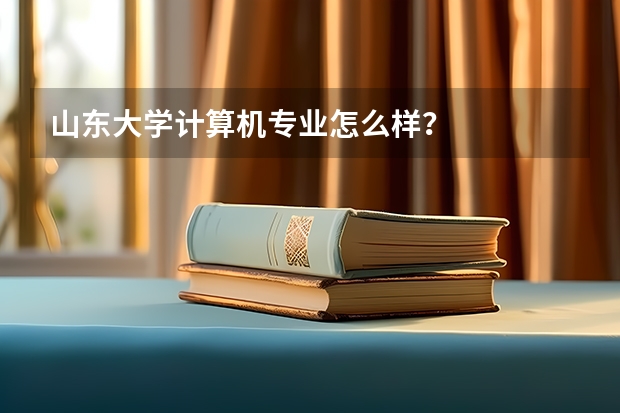 山东大学计算机专业怎么样？