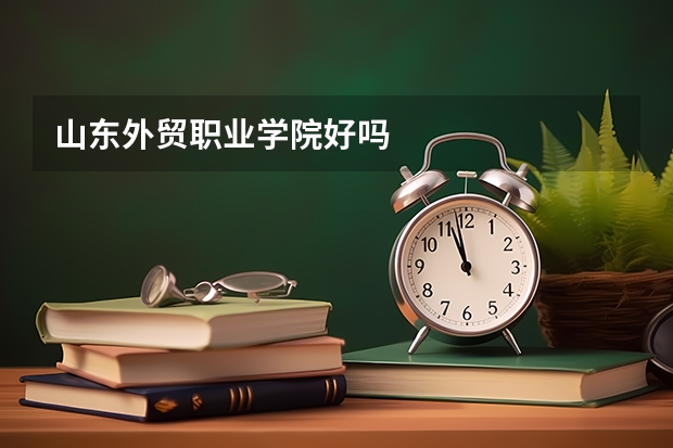 山东外贸职业学院好吗