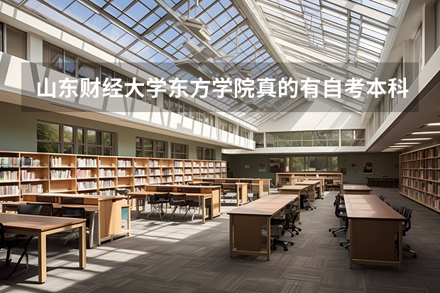 山东财经大学东方学院真的有自考本科吗?