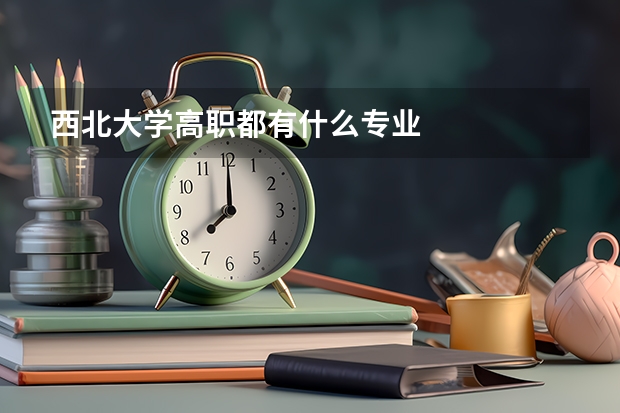 西北大学高职都有什么专业