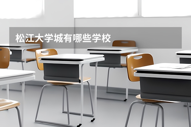 松江大学城有哪些学校