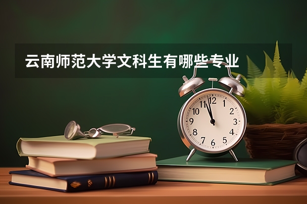云南师范大学文科生有哪些专业