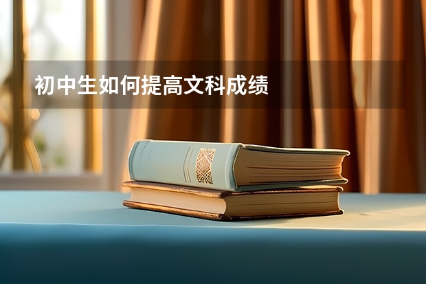 初中生如何提高文科成绩