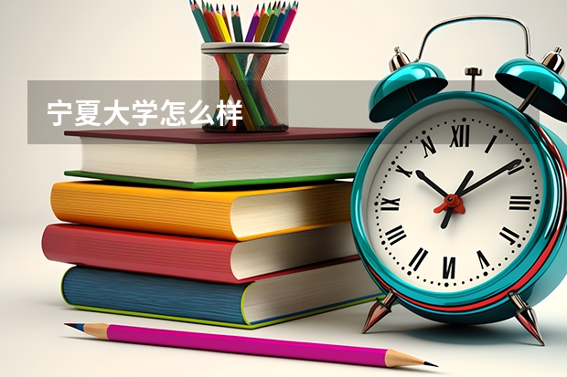 宁夏大学怎么样