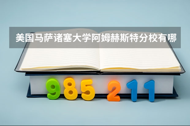 美国马萨诸塞大学阿姆赫斯特分校有哪些好专业