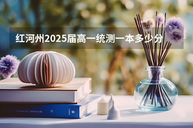 红河州2025届高一统测一本多少分?
