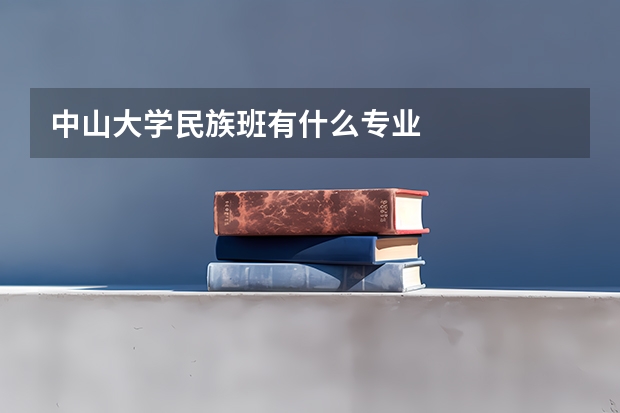 中山大学民族班有什么专业