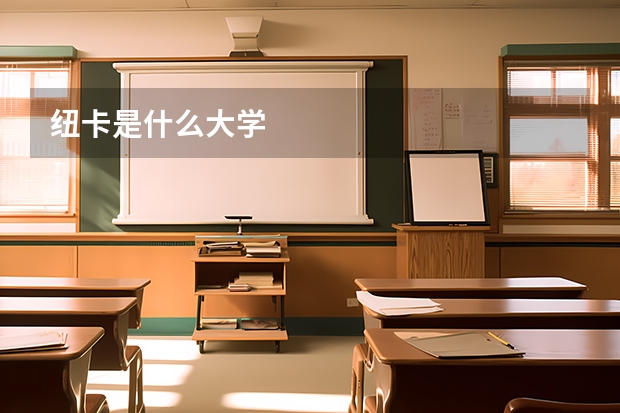 纽卡是什么大学