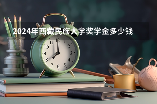 2024年西藏民族大学奖学金多少钱