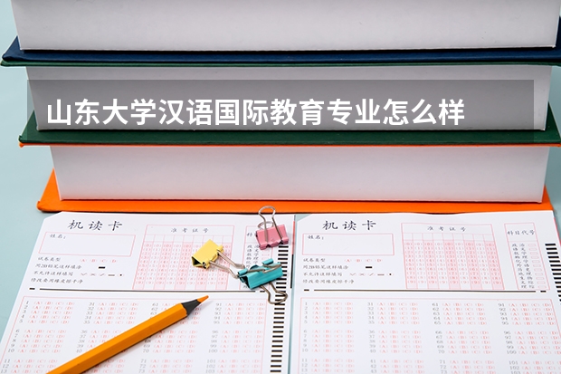 山东大学汉语国际教育专业怎么样