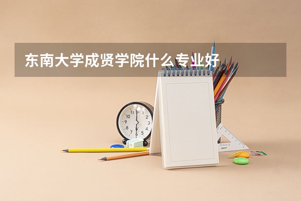 东南大学成贤学院什么专业好