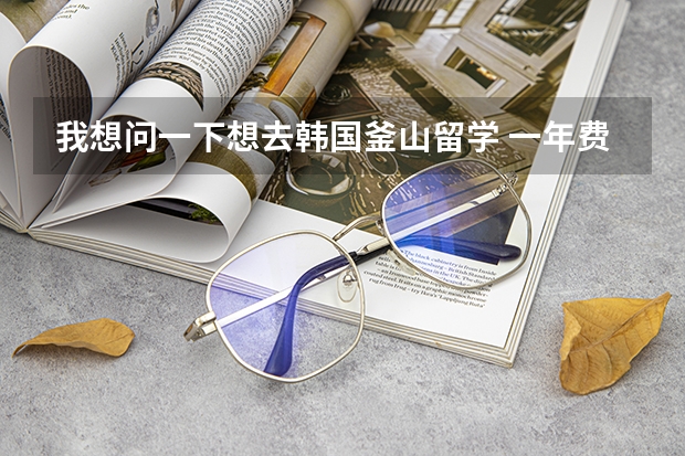 我想问一下想去韩国釜山留学 一年费用大约是多少钱 灵山大学