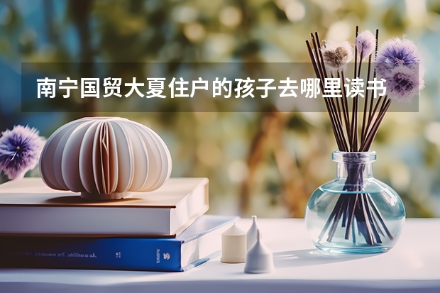 南宁国贸大夏住户的孩子去哪里读书