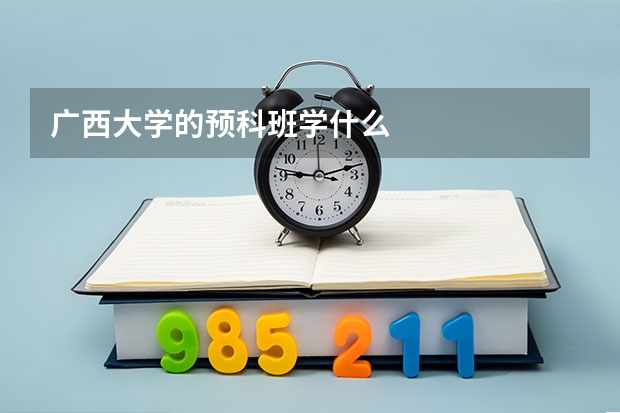 广西大学的预科班学什么