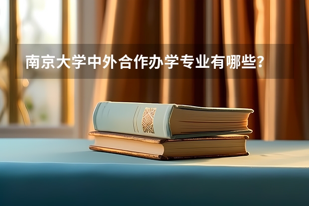 南京大学中外合作办学专业有哪些?