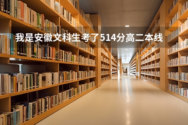 我是安徽文科生考了514分高二本线13分可以报考什么大学
