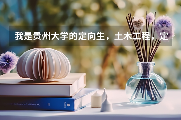 我是贵州大学的定向生，土木工程，定向望谟县就业，不知道将来去哪里是干什么工作