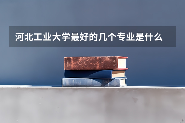 河北工业大学最好的几个专业是什么