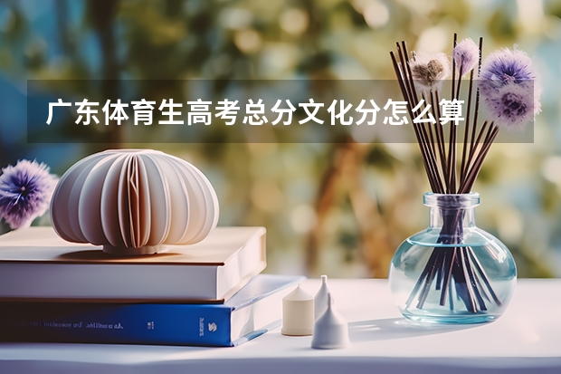 广东体育生高考总分文化分怎么算