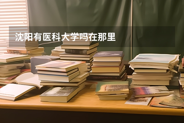 沈阳有医科大学吗在那里