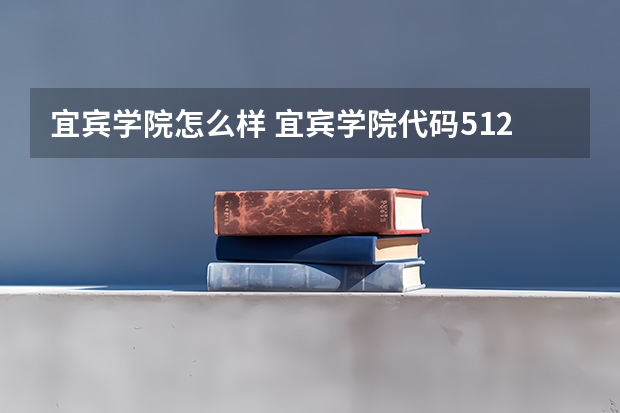 宜宾学院怎么样 宜宾学院代码5125怎么样