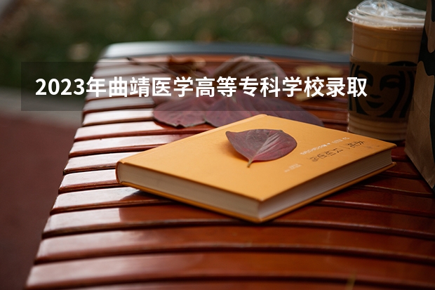 2023年曲靖医学高等专科学校录取最低分是多少 曲靖医学高等专科学校历年录取参考