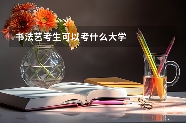 书法艺考生可以考什么大学