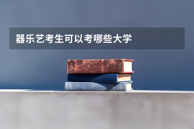 器乐艺考生可以考哪些大学