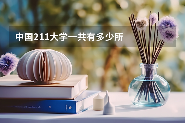 中国211大学一共有多少所