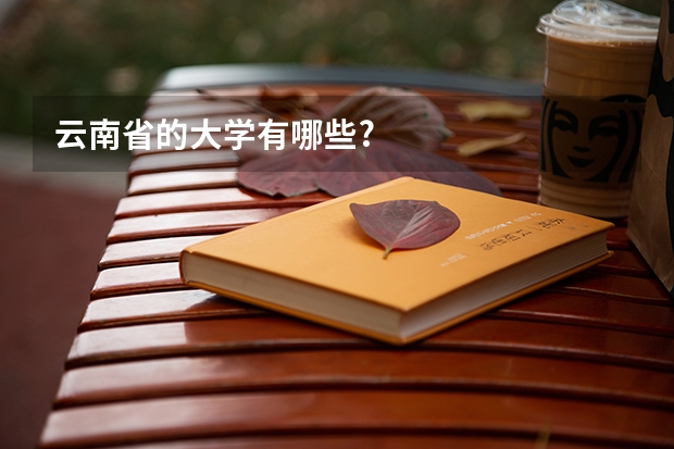 云南省的大学有哪些?