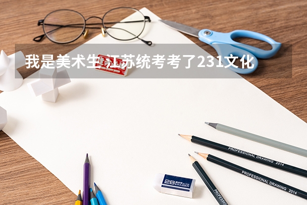 我是美术生 江苏统考考了231文化课 考多少才能上本科