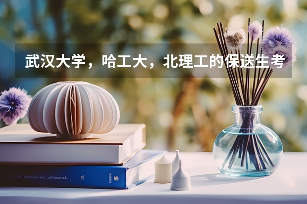 武汉大学,哈工大,北理工的保送生考试难度怎么样?