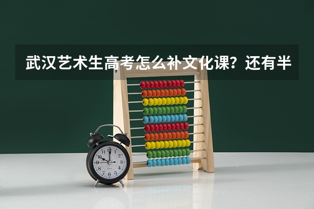 武汉艺术生高考怎么补文化课？还有半年就高考了，我的文化课成绩很差..