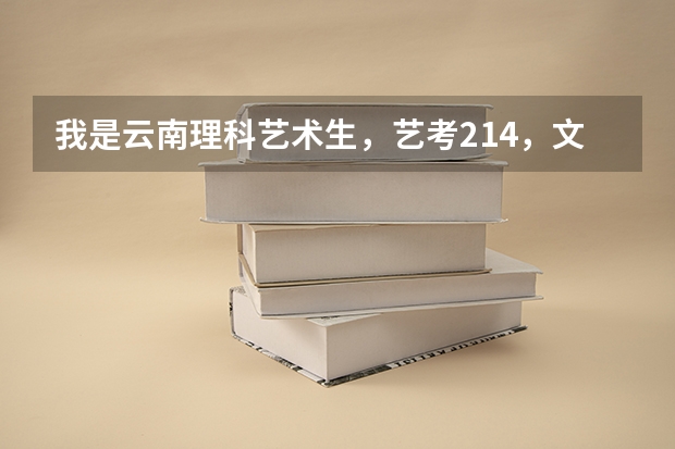 我是云南理科艺术生,艺考214,文化分350 有哪些四川的本科大学我可以报呢?求解答,谢谢!