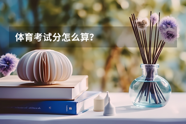 体育考试分怎么算？