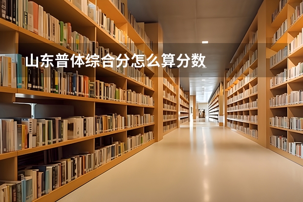 山东普体综合分怎么算分数