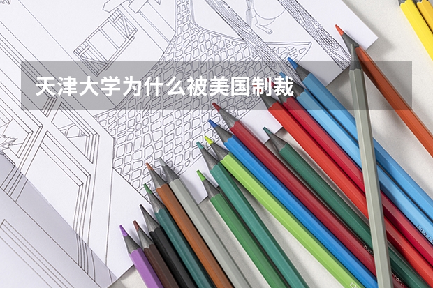 天津大学为什么被美国制裁