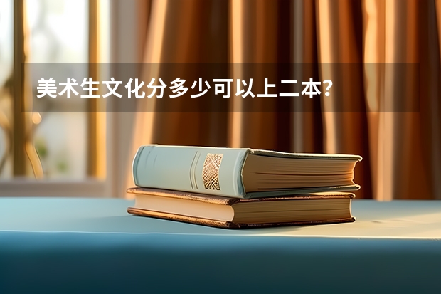 美术生文化分多少可以上二本？