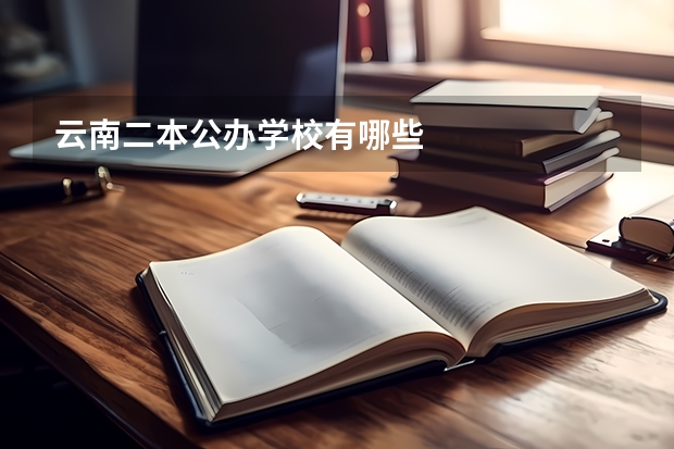 云南二本公办学校有哪些