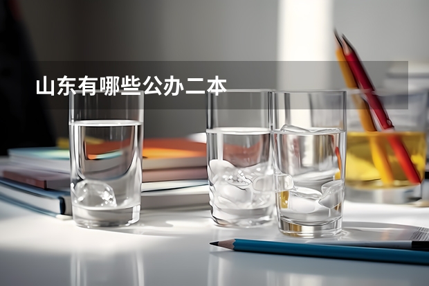 山东有哪些公办二本